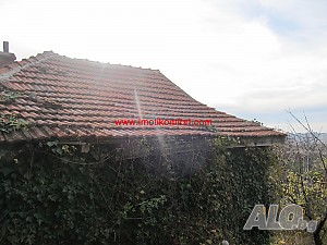 image_8