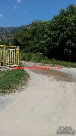 image_6