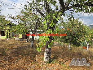 image_4