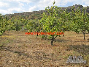 image_5