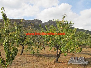 image_6