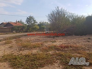 image_6