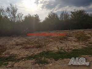 image_7