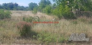 image_6