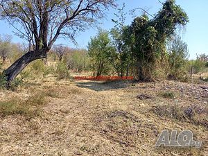 image_4