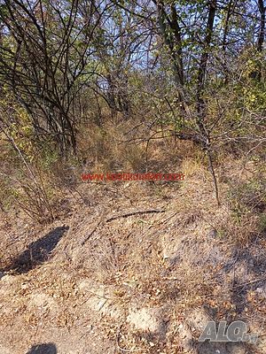 image_7