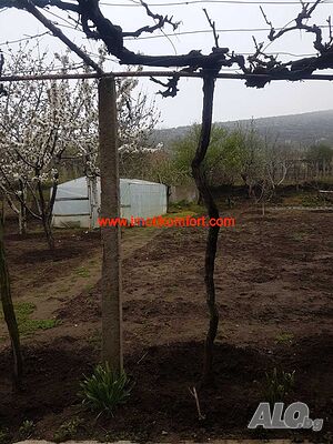 image_7