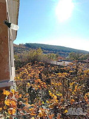 image_13