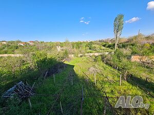 image_10