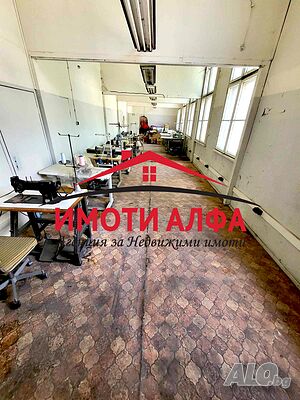 image_7