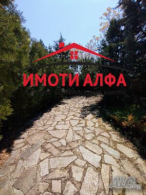 image_4