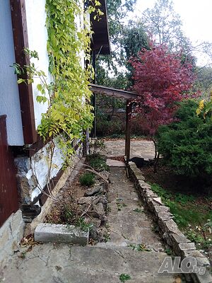 image_10