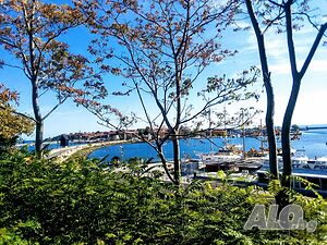 image_28