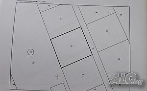 image_6