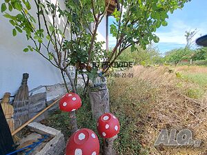 image_15
