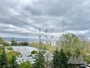 image_11