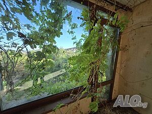 image_14