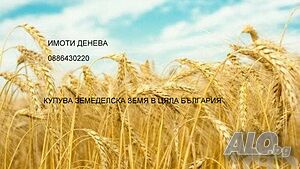 Купува земеделска земя в област Добрич.