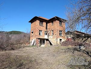 image_9