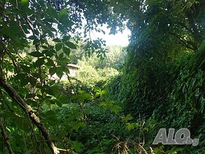 image_9