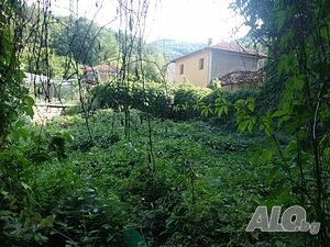 image_10