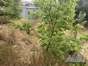 Парцел за застрояване в кв. Христо Ботев