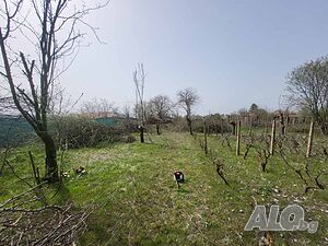 Дворно място в село Преспа, на 15 км. то гр. Балчик и морето