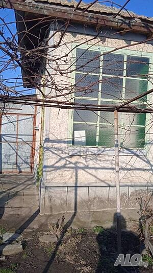 image_10