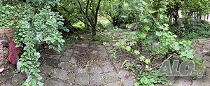 image_4