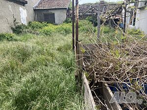 image_12