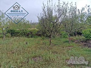 image_11