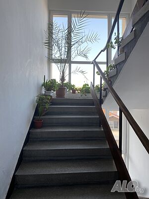 image_14