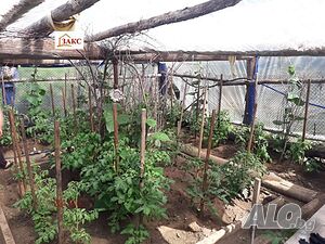 image_10