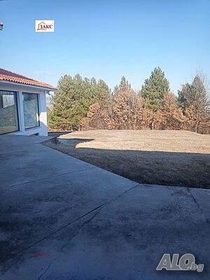 image_6