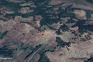 image_3