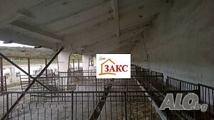 image_5