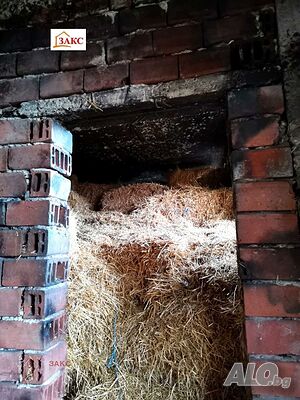 image_6