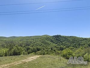 image_6