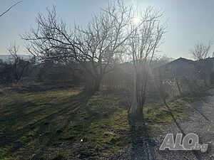 image_3