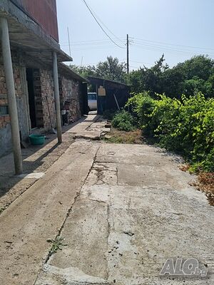 image_12