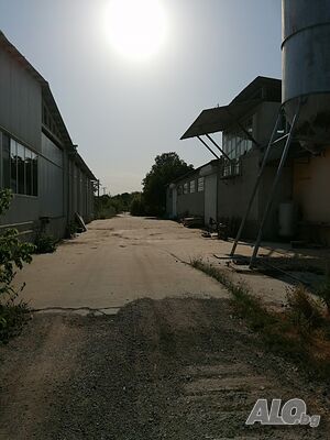 image_8