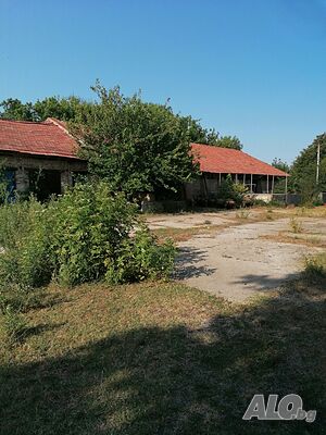 image_10