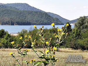 Парцел в Еленски балкан