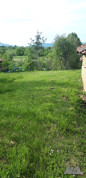 Парцел в регулация