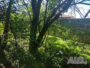 image_8