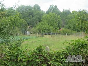 image_6