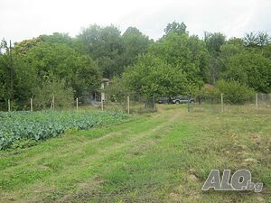 image_7
