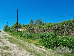image_3