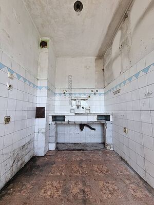 image_11