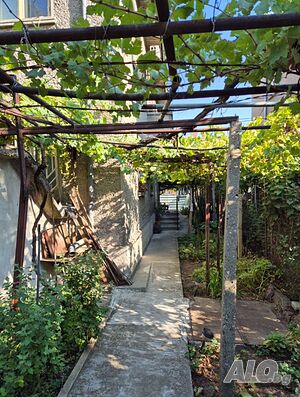 image_7